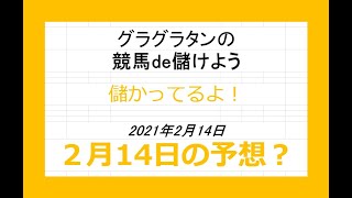 グラグラタンの競馬予想！？　２月１４日（日）分