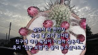 당신 같은 친구가 있기에 항상 좋은 날입니다