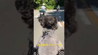 キャンプツーリング道志みち