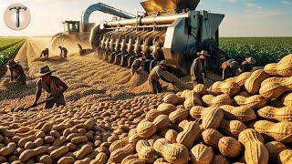 Harvest millions of tons of peanuts to make delicious peanut crumbles and peanut butter!