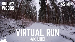 Virtual Run 4K  - Treadmill Workout - Beautiful Snowy Woods - Germany - GoPro11