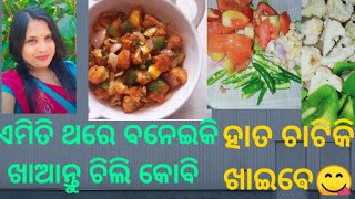 ଆମ ବଡି ରେ କେତେ ଲଙ୍କା ପାଚିଛି🌶️🌶️।।,ରିସି ଧରିଛି ପୁଷି🐈🐈🐈।।ଚିଲି କୋବି recipe🥦🥦//