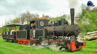 Călătorie Câmpeni-Abrud Train Ride with/cu Locomotiva cu Abur 762.209 CFI Dampflok 01 May 2019