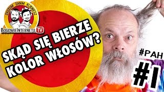 Skąd się bierze kolor włosów?  | BogowieInternetu.TV #1