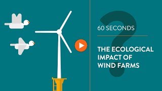 Ecological impact of wind turbines - IN 60 SECONDS
