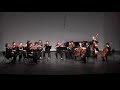 sonnet ensemble suk serenade for strings op. 6 4th movement excerpt