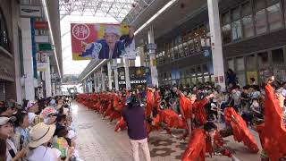 セントラルグループよさこい踊り子隊　４K～2019よさこい本祭２日目（帯屋町筋会場）