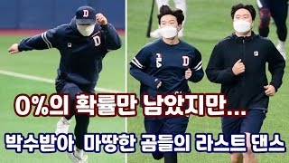 0%의 확률만 남았지만..박수받아 마땅한 곰들의 라스트 댄스