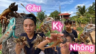 Cci : Cùng Team Đi Câu Kỳ Nhông🦎 | Tuổi Thơ Giữ Dội