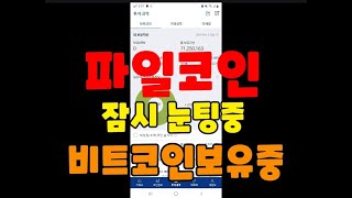 파일코인 잠시 눈팅중 비트 보유중