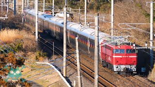 【EF 81 81 車両故障も復路運行】カシオペア紀行 神立行き EF81 80 + E26系 + EF81 81 常磐線 お召し機 E531系K423 赤電塗装【乗り物 機関車 図鑑】2024.10