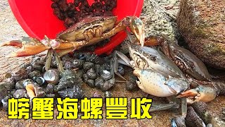 【猛貨合集】凌晨三點多出發趕海，小漁抓到好多花蓋蟹，還有一大桶海螺！【漁小仙】