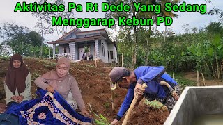 Menyampaikan Amanah Dan Melihat Keseruan Pa Rt Dede Yang Sedang Menggarap Kebun PD