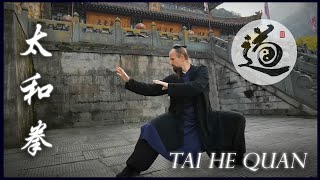 Wudang Tai He Quan (太和拳) #wudangway #taihequan #taichi