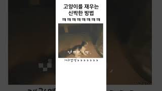 고양이를 재우는 신박한 방법 ㅋㅋㅋㅋㅋㅋ