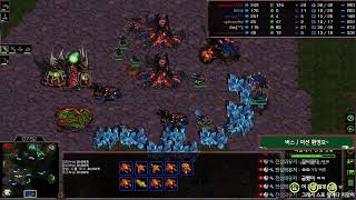 [Live] 스타팀플헌터 myth.argos Starcraft Hunter Teamplay. [2022-11-10]