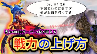 【神獣伝説】トップランカーから学ぶ戦力上げ方#神獣伝説