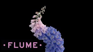 FLUME - Tiny Cities INSTRUMENTAL 320KBPS 60FPS *LEAK* DOWNLOAD