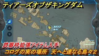 ティアキン　コログの実の場所　天へと連なる島々２　武器枠拡張アイテム入手　＃１３９３　【ゼルダの伝説ティアーズオブザキングダム】