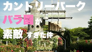 【2021】カントリーパークのバラ園がめっちゃ見頃でした...!【熊本農業公園】