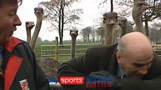 Stevo vs ostriches