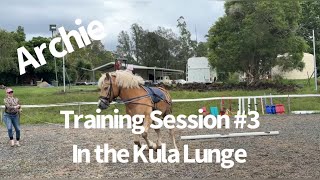 Archie - Training Session #3 in the Kula Lunge