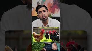 Power of Sarkari Naukri 🐓💞 | Kuldeep Singhaniaa #shorts