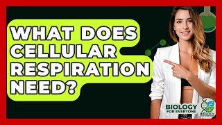 What Does Cellular Respiration Need? - Biology For Everyone