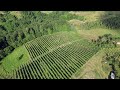 Srbija, Selo Ribaševina - snimak dronom 4K (DJI Mini 3 Pro)