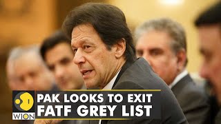 FATF to review progress made by Pakistan o exit the grey list of anti-terrorist funding | World News