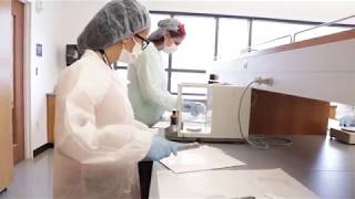 UConn Pre-College Summer - Pharmacy: Explore the Field
