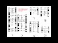 Cytogenetics II   Chromosome Analysis & Karyotypes