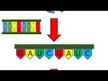 an introduction to sirna the gene silencing ninja