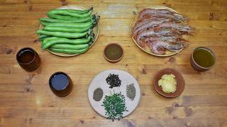 Ancient Roman Shrimp Balls and Mashed Fava Beans