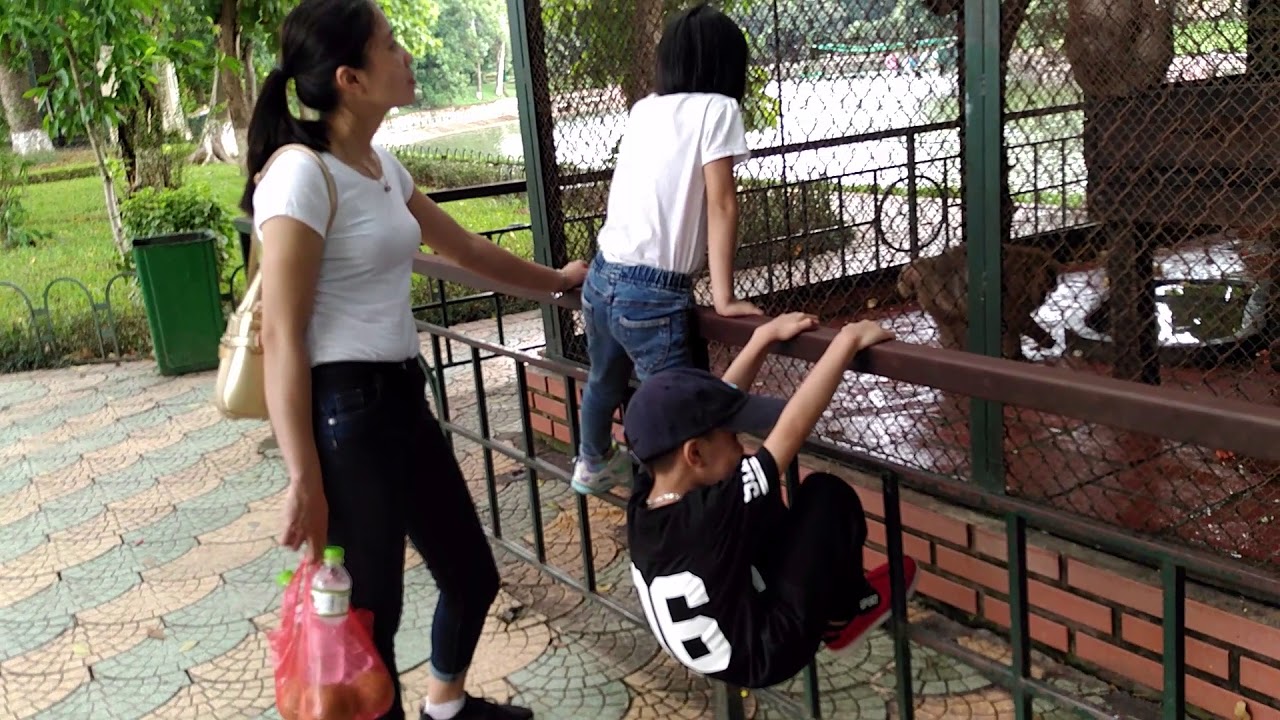 Vid 20170830 124352 Youtube