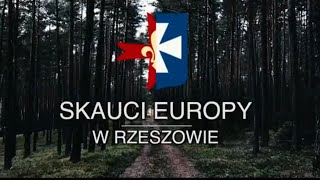 Proste metody, Trwałe Wartości - Skauci Europy