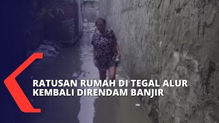 Akibat Hujan Deras, Ratusan Rumah di Tegal Alur Kembali Direndam Banjir