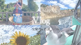 【Vlog】佐渡の記録 DAY1 /尖閣湾🚢/野菜収穫🍆/綺麗な田んぼ道🌿