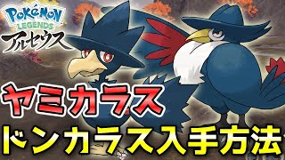 【アルセウス】ヤミカラス・ドンカラス入手方法！オヤブンは戦わずに捕獲します！【ポケモン レジェンズ】