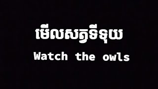 មើលសត្វទីទុយ (Watch the owls )