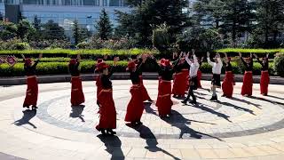 民族舞曲丨藏族锅庄舞丨雪域高原，魅力草原，欢乐的海洋，朝圣之路，原生态锅庄舞！https://www.ypinchuhai.com #Tibetan Guozhuang dance #云品出海#锅庄舞