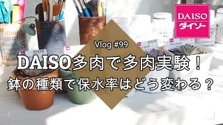 【Vlog#99】【多肉植物】DAISO多肉で多肉実験！鉢の種類で保水率はどう変わる？【素焼き鉢VSプラ鉢】