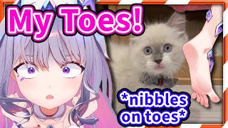 Biboo's Cat Keeps Licking Her Toes on Stream 【Koseki Bijou / HololiveEN】