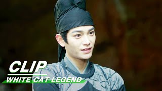 Shaoqing Deceives the Criminal | White Cat Legend EP18 | 大理寺少卿游 | iQIYI