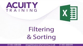 Excel 2016: Filtering and Sorting