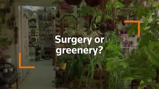 Jordanian doctor transforms clinic into garden