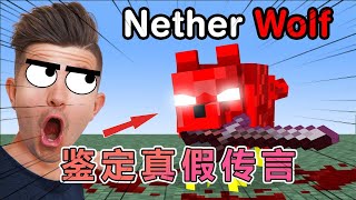 我的世界：Preston老哥鉴定那些新版本真假难辨的MC传言 #我的世界#minecraft