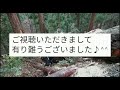 ⑬ a　ツガの玉切り　　　　　　　　　中村林業 奈良県