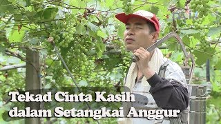 Buah Anggur Kebaikan