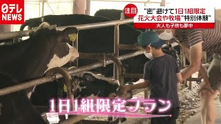 花火やビール　“密”避ける1日1組プラン　2020年8月14日放送『news every.』より